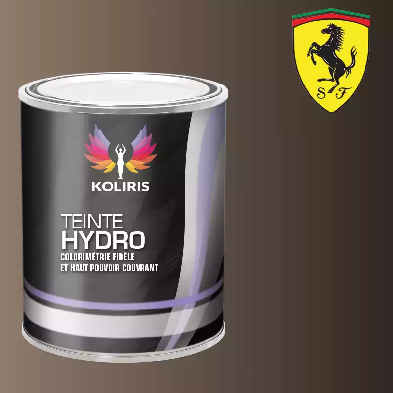 Peinture voiture hydro Ferrari