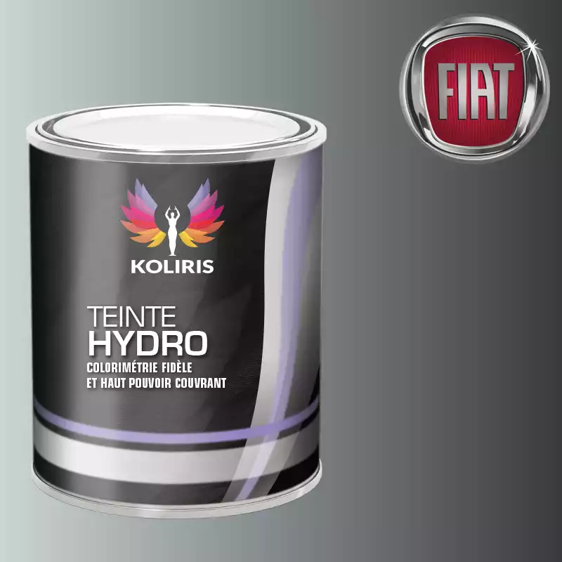 Peinture voiture hydro Fiat