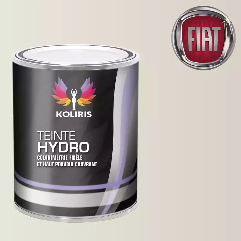 Peinture voiture hydro Fiat