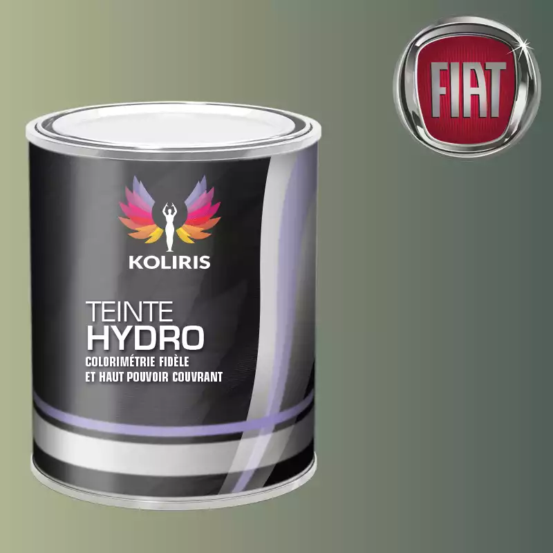 Peinture voiture hydro Fiat