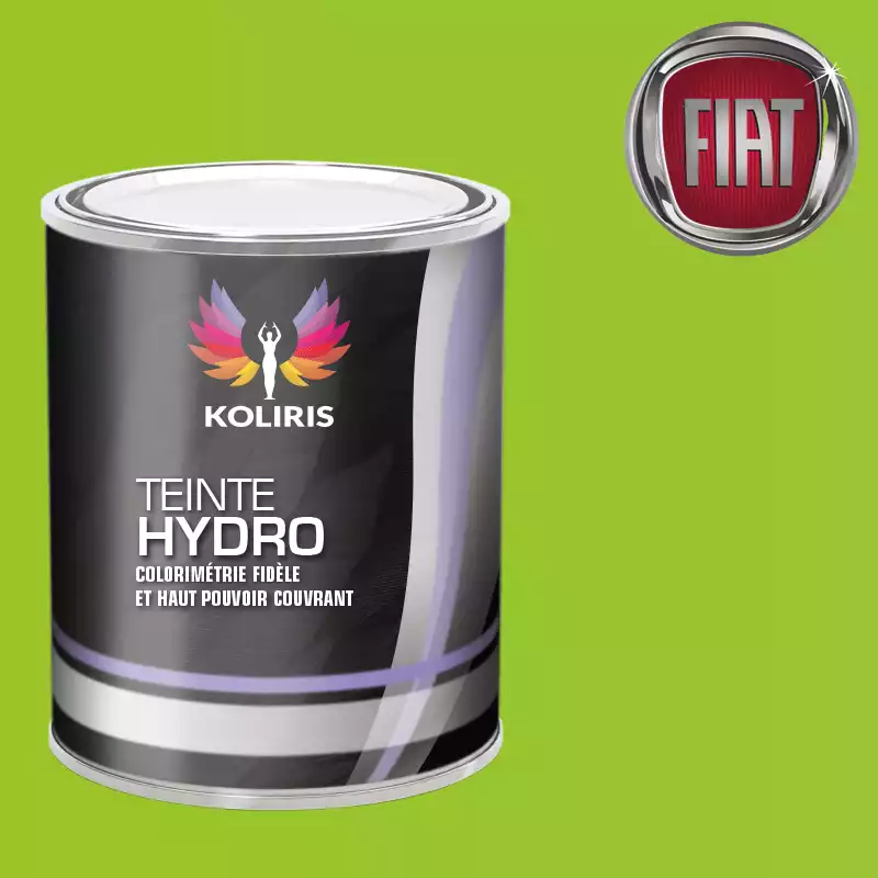 Peinture voiture hydro Fiat