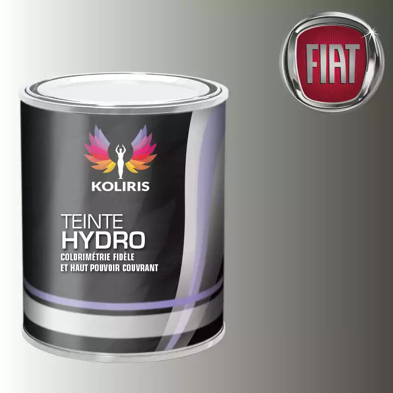 Peinture voiture hydro Fiat