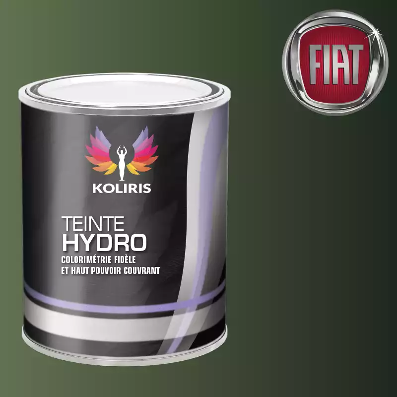 Peinture voiture hydro Fiat