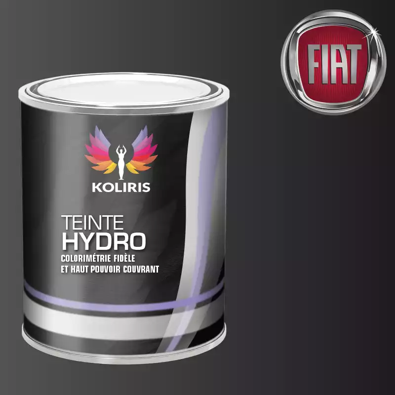 Peinture voiture hydro Fiat