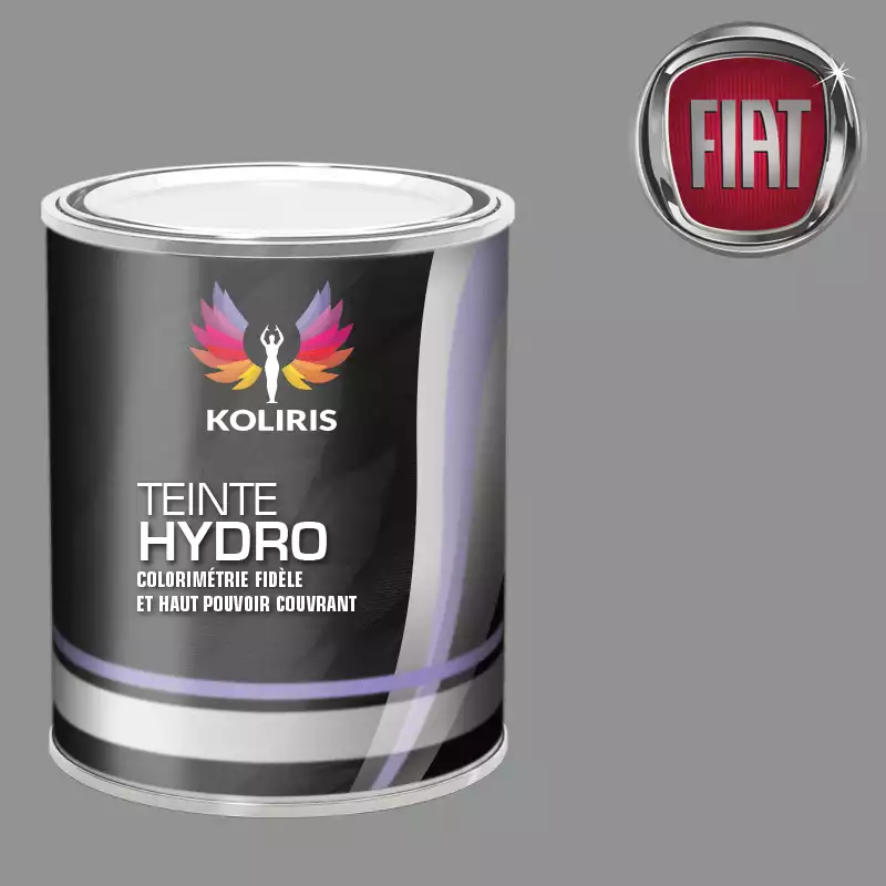 Peinture voiture hydro Fiat