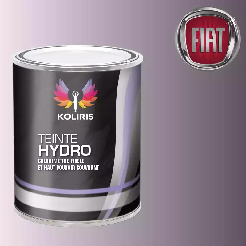 Peinture voiture hydro Fiat