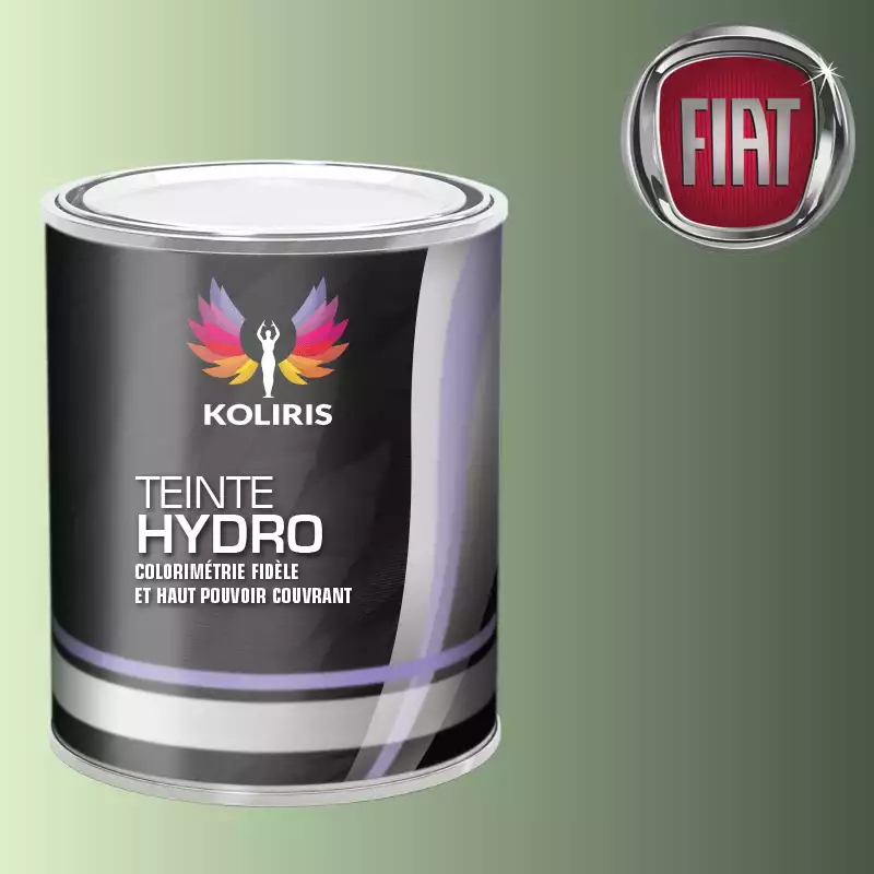 Peinture voiture hydro Fiat