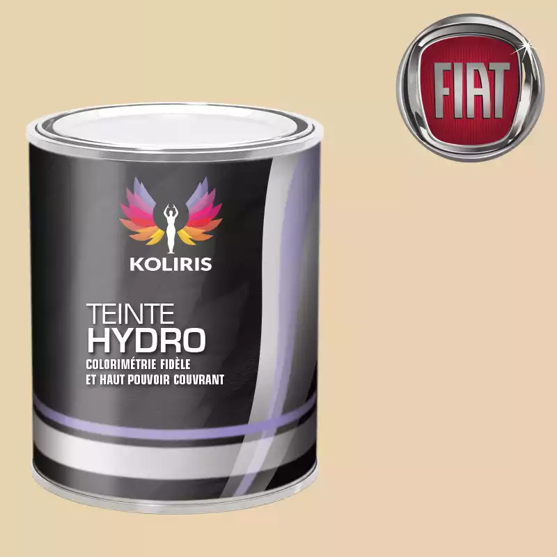 Peinture voiture hydro Fiat