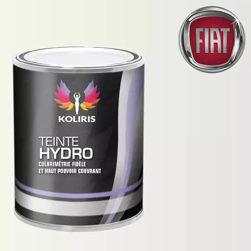 Peinture voiture hydro Fiat