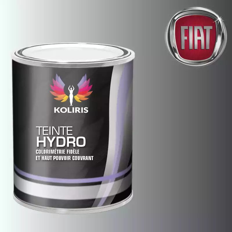 Peinture voiture hydro Fiat