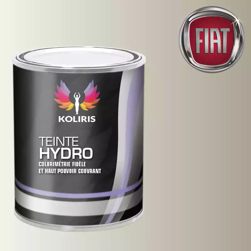 Peinture voiture hydro Fiat