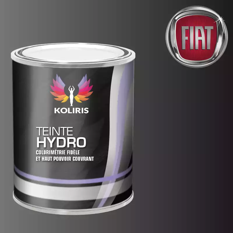 Peinture voiture hydro Fiat