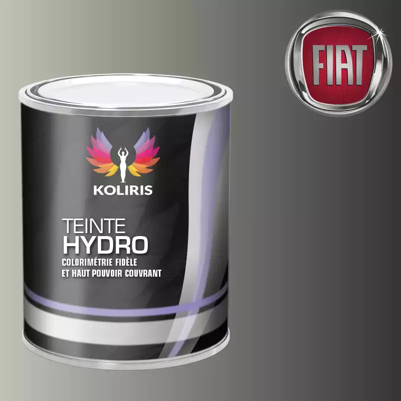 Peinture voiture hydro Fiat