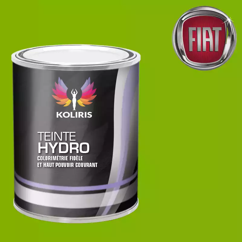 Peinture voiture hydro Fiat