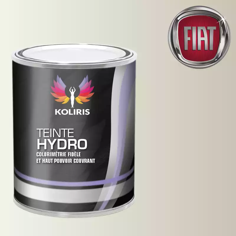 Peinture voiture hydro Fiat