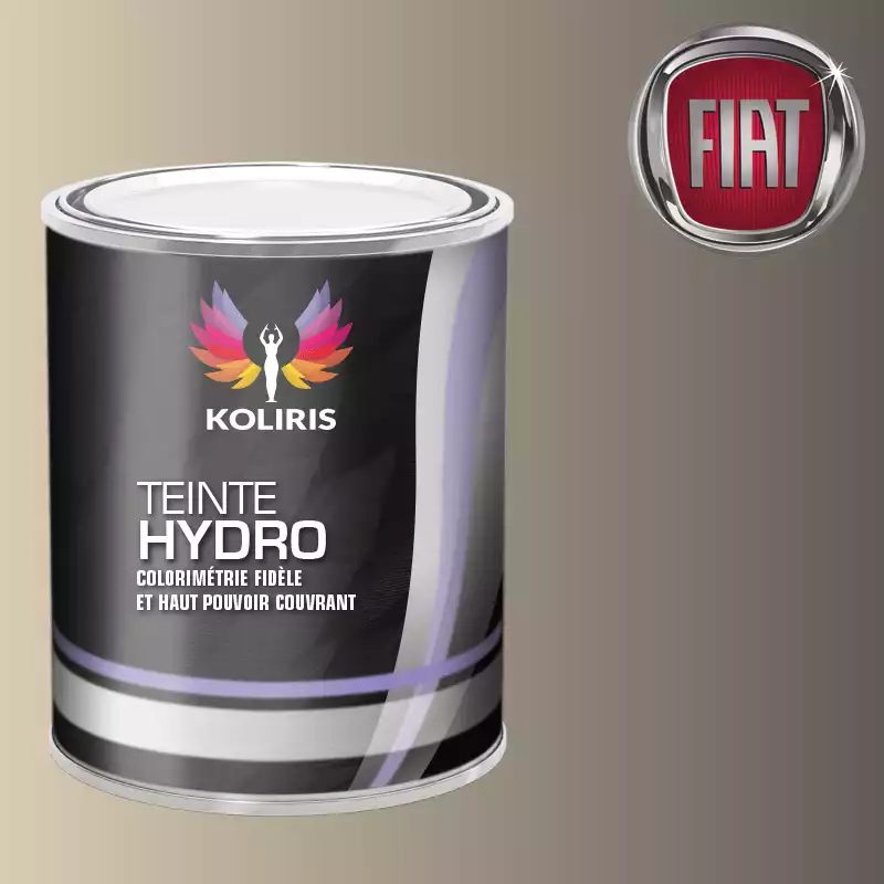 Peinture voiture hydro Fiat