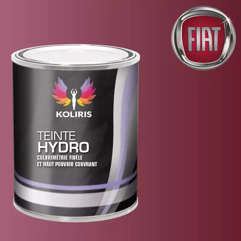 Peinture voiture hydro Fiat