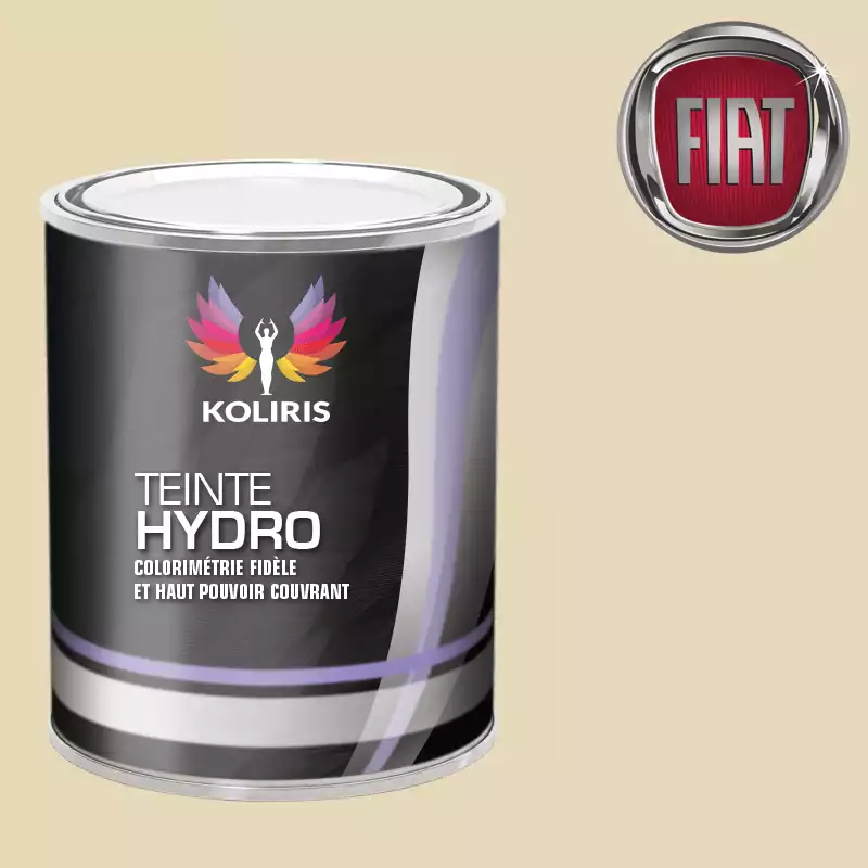 Peinture voiture hydro Fiat