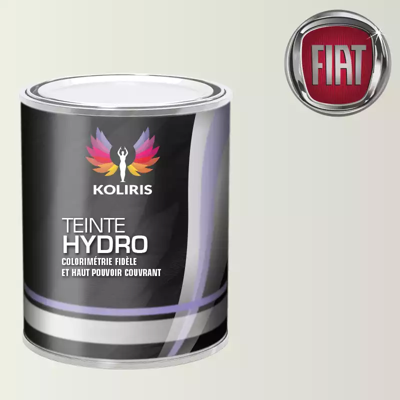 Peinture voiture hydro Fiat