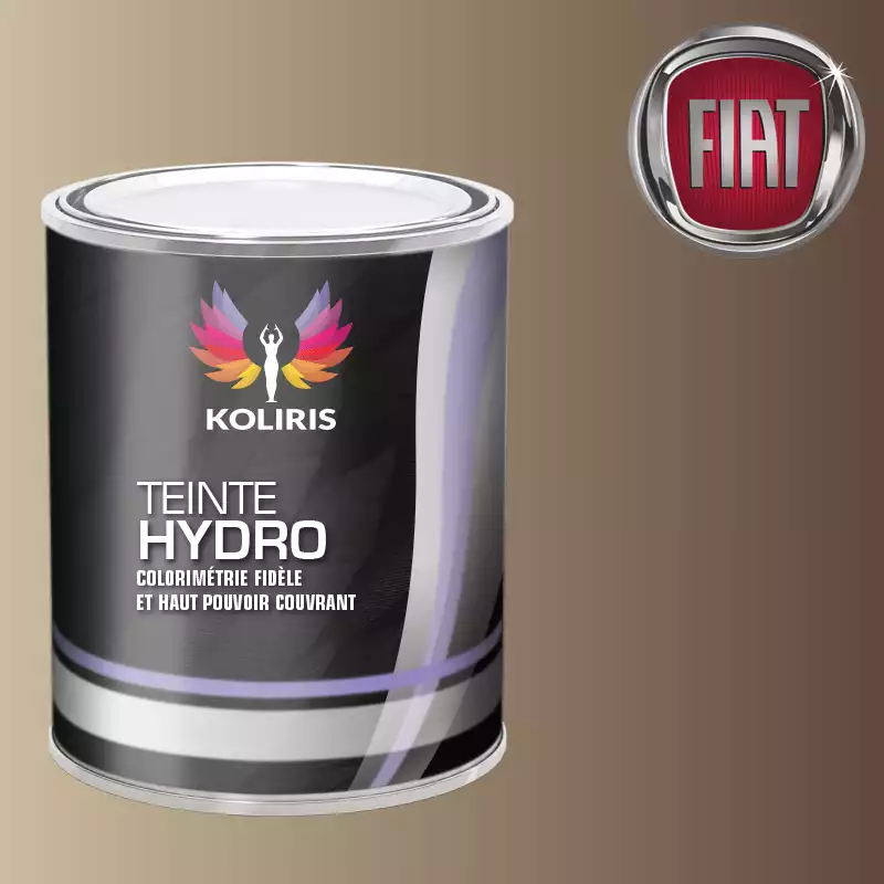 Peinture voiture hydro Fiat