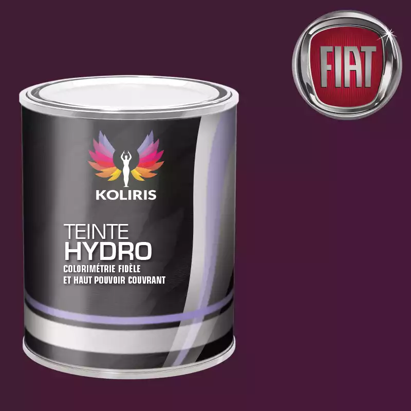 Peinture voiture hydro Fiat