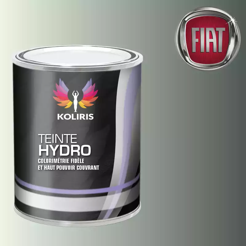 Peinture voiture hydro Fiat