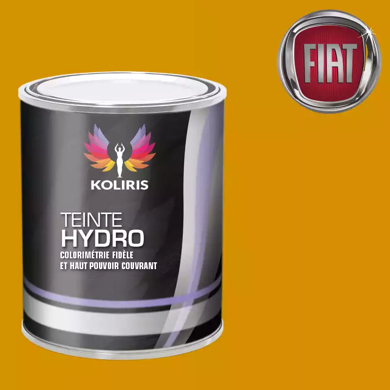 Peinture voiture hydro Fiat