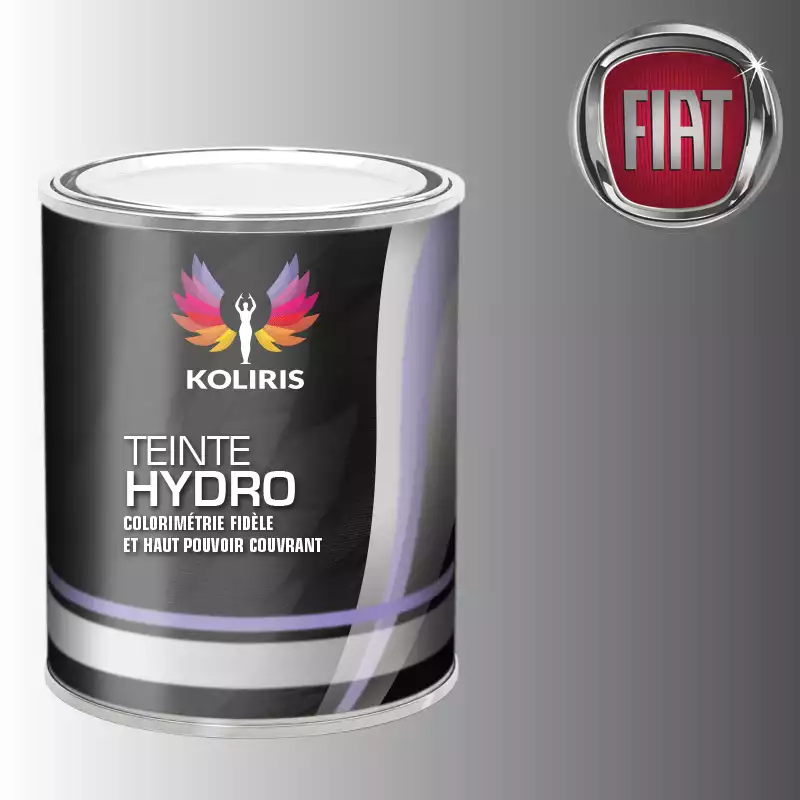 Peinture voiture hydro Fiat