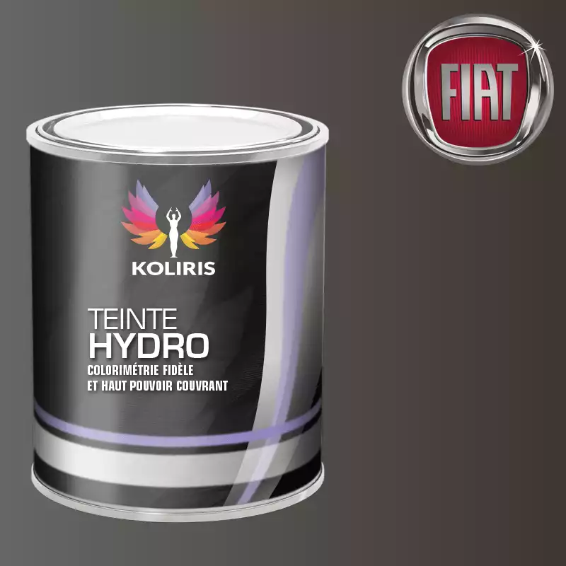 Peinture voiture hydro Fiat