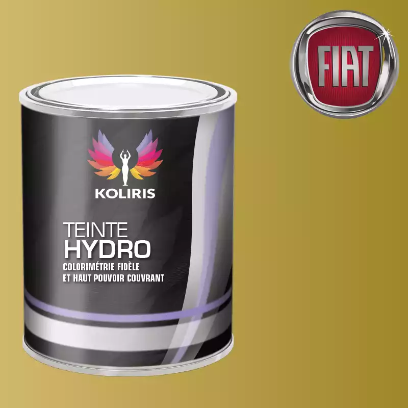 Peinture voiture hydro Fiat