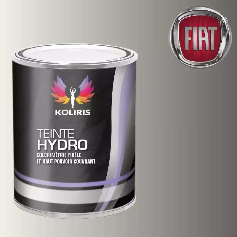 Peinture voiture hydro Fiat