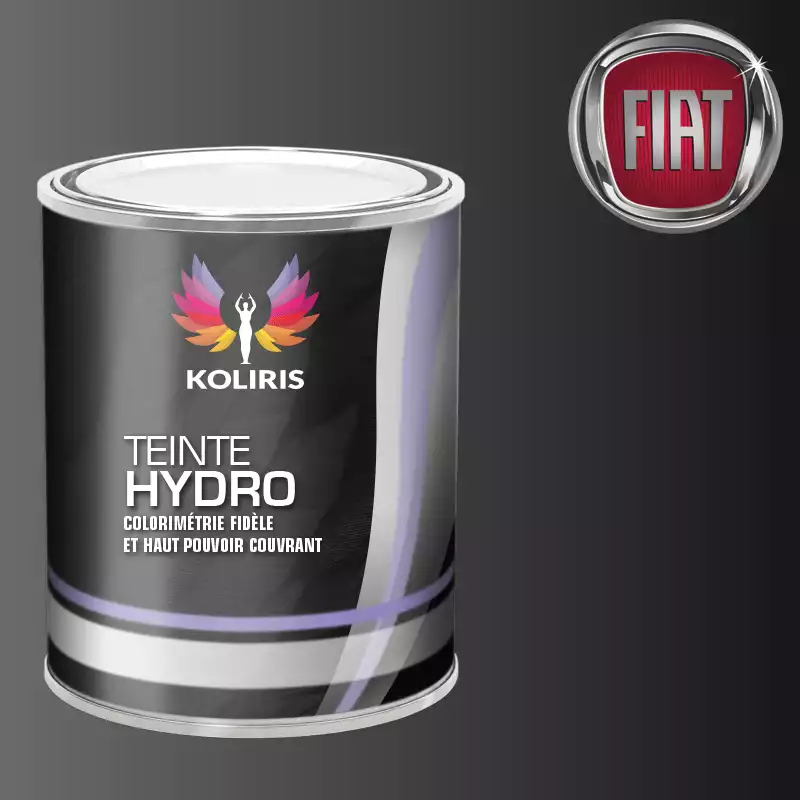 Peinture voiture hydro Fiat