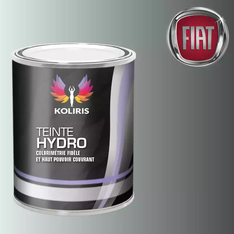 Peinture voiture hydro Fiat