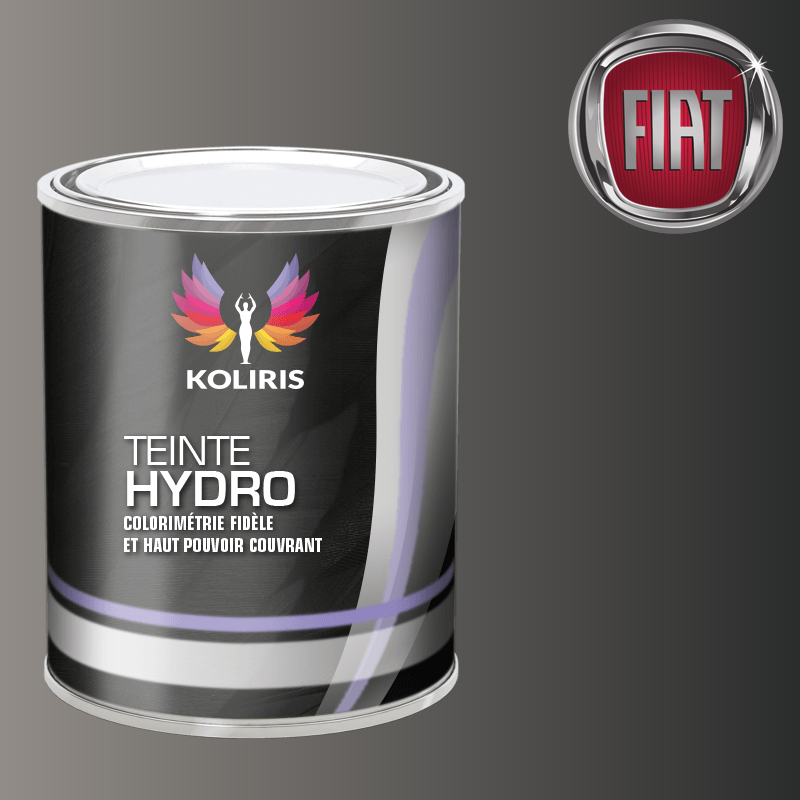 Peinture voiture hydro Fiat