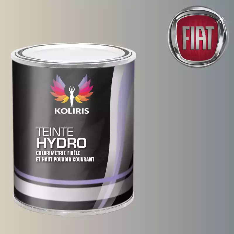 Peinture voiture hydro Fiat