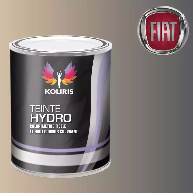 Peinture voiture hydro Fiat