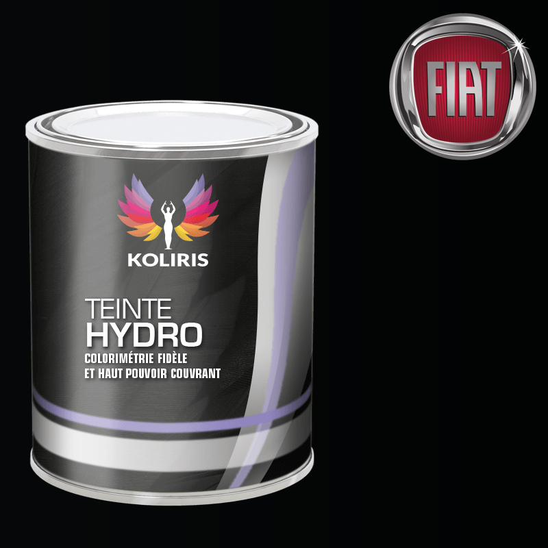 Peinture voiture hydro Fiat