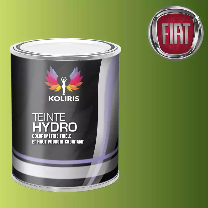 Peinture voiture hydro Fiat