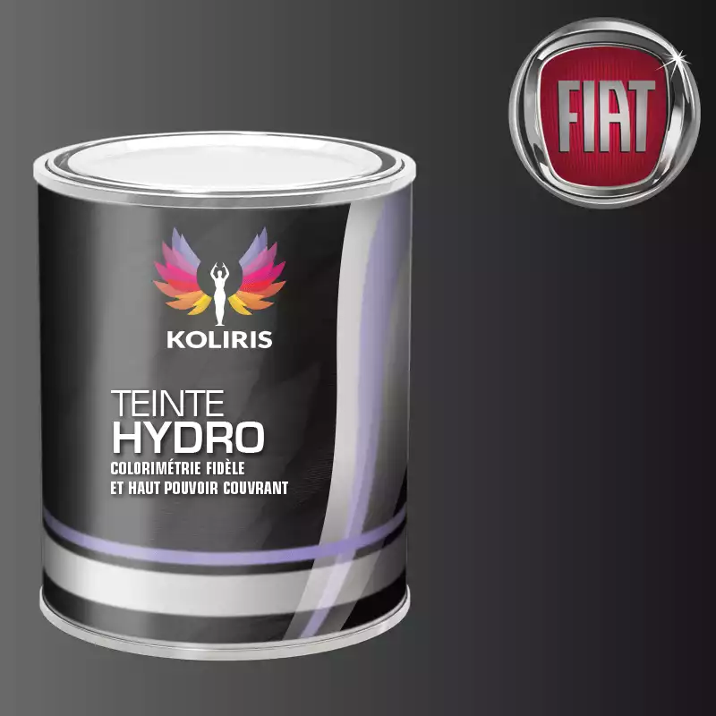 Peinture voiture hydro Fiat