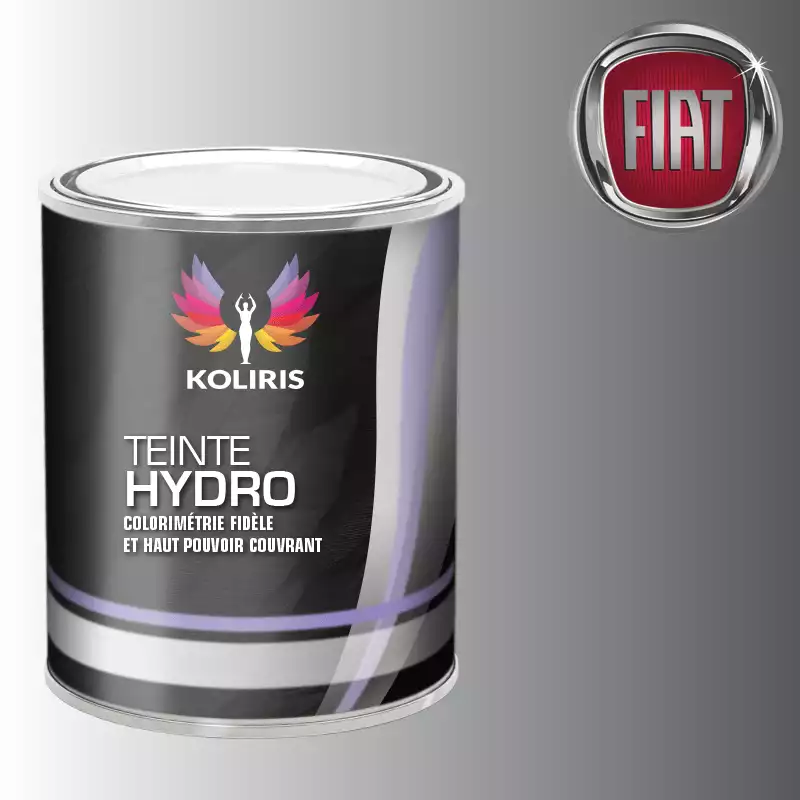 Peinture voiture hydro Fiat