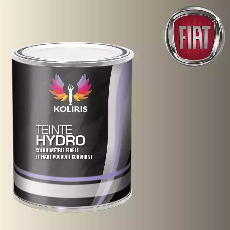 Peinture voiture hydro Fiat