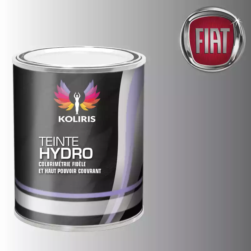 Peinture voiture hydro Fiat