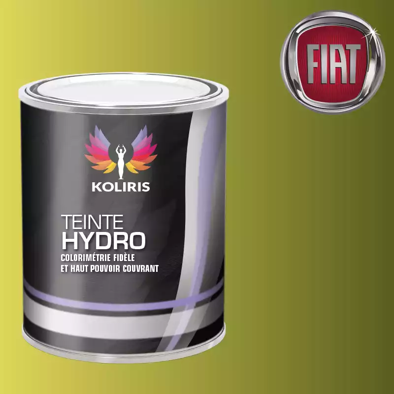 Peinture voiture hydro Fiat