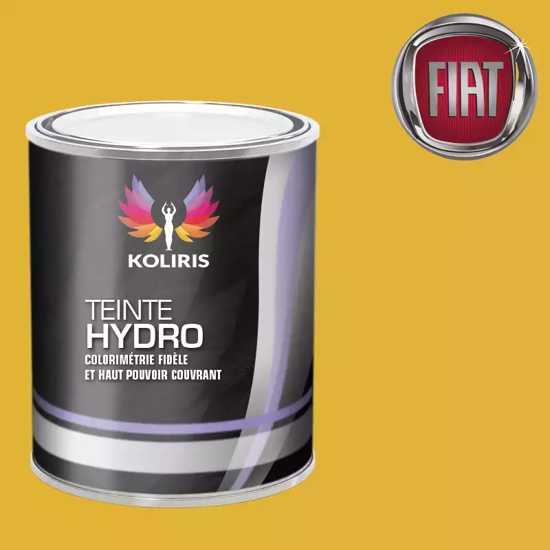 Peinture voiture hydro Fiat