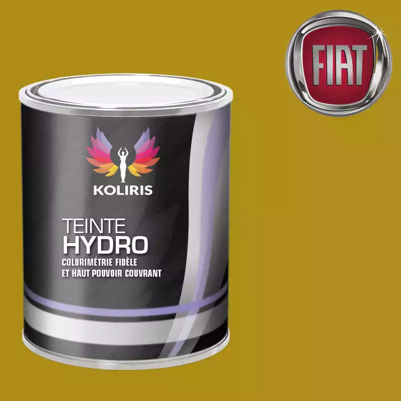 Peinture voiture hydro Fiat