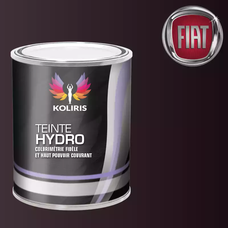 Peinture voiture hydro Fiat