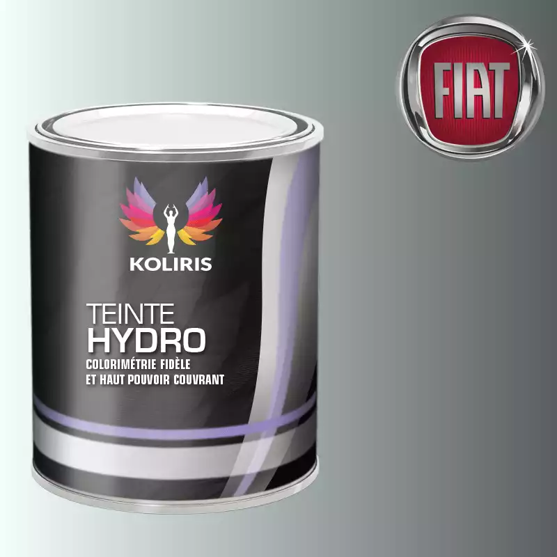 Peinture voiture hydro Fiat