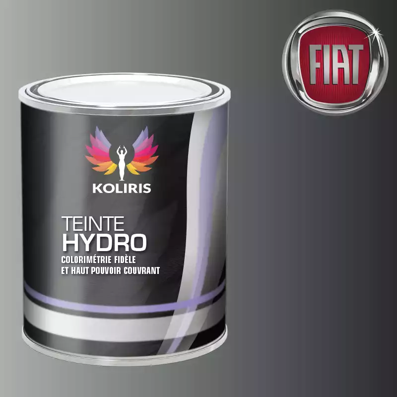 Peinture voiture hydro Fiat