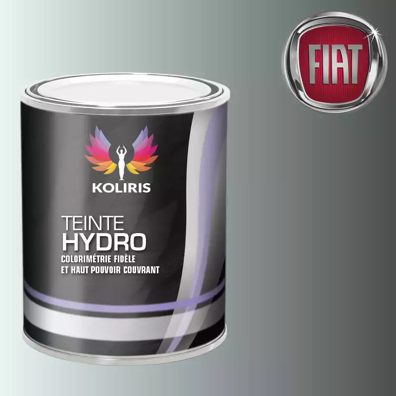 Peinture voiture hydro Fiat