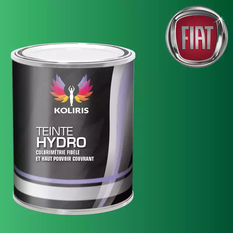 Peinture voiture hydro Fiat